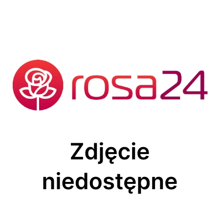Sundose Everyday For Skin Anti-Aging Kolagen Rybi smak pomarańczowy, 30 saszetek